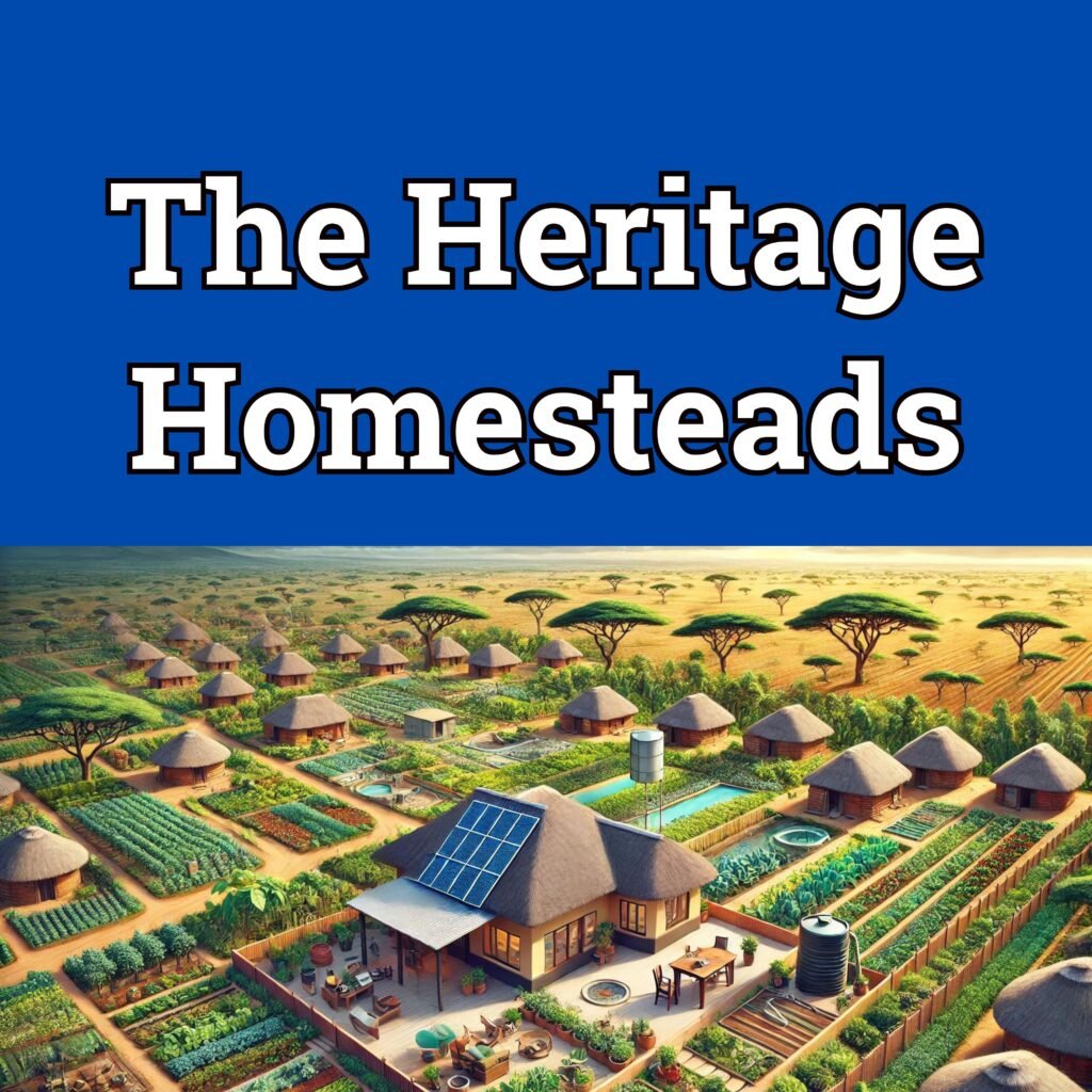 Image of a rural African Homestead